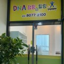 남양DNA점핑&힐링