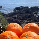 아래농장 이미지