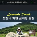 금마농협주유소 이미지