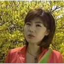 싱싱 이미지