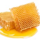 꿀은 항생제보다 호흡기 증상 치료에 더 효과적 일 수 있다, Honey may be more effective for treating respiratory symptoms 이미지