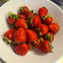 솜마(나) 이미지