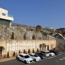 할로브리즈 이미지