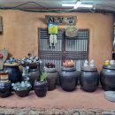 호박 샤브샤브 칼국수 이미지