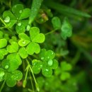 화성24시편의점 이미지