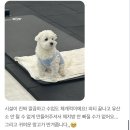 필라테스봄앤피티 | 빈필라테스앤피티 회원님들의 리얼 수강 후기 모음!!