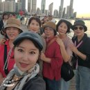 26년9월3일 중국청도 이미지