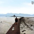 장선포2 이미지