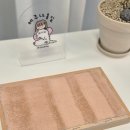 제주냐옹실 고양이미용 이미지