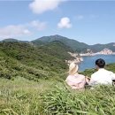 도레미파도 중부일보