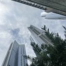 디 오아시 이미지