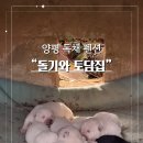 돌기와 토담집 이미지