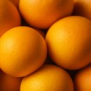 정실농장 이미지