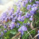 다사행복을심는치과의원 | 쫄깃한 삶의 행복을 되찾는 법 임플란트 오래 쓰려면 꼭 확인해야 할 이것!