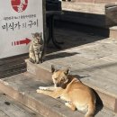 으라차팜 | 이천이십이년 십이월 끝