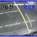 대전광택 이미지