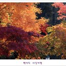 아프리카예술박물관 이미지