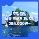 봉래모텔 | 포항에서 울릉도 크루즈 패키지 / 포항_울릉도_1박3일 #크루즈 #뉴씨다펄호