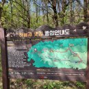 하늘재길 이미지