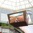 고향한우식육점 이미지