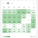 솔빛중학교 | [초등임용] 현직교사의 경기도 재임용 후기 / 경기도 초등임용 0.3배수 합격