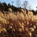 승기천 신연수역 이미지