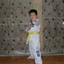 청운태권도체육관 이미지