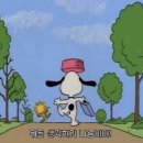 천성산국민체육센터 수영장 이미지