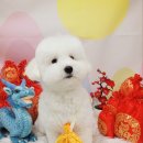 힐스타운 동물병원 이미지