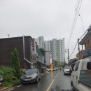 설화손짜장 이미지