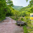 수룡폭포길 이미지