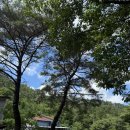 백아산펜션 | [전남 화순] 광주 근교 백아산 원두막 펜션 후기 - 수영장+계곡+취사가능 가족여행지 추천!