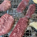 철마한우초원 이미지