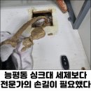 경광사