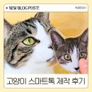 아크릴톡제작 고양이스마트톡 아이텐션 만족한 후기