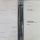 외래향