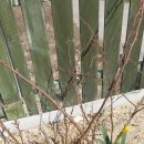 경주 가족펜션 풍경채 이미지