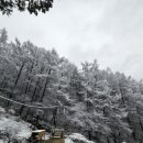 삼신사 이미지