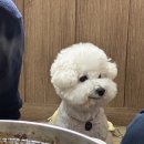 산성마루식당 이미지