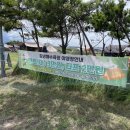 캠프원 야영장 이미지