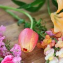 꽃담플라워 이미지