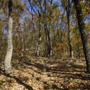 제비 꼬리를 타고 두둥실! - 공주 연미산(237.7m)~채죽산(170m) 산행, 공산산성 탐방, 강경 젓갈시장 김장 장보기 이미지