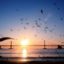 해나공인중개사사무소 이미지