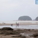"가족끼리 특별한 추억 쌓기 좋은 곳이네"... 해양수산부가 추천하는 어촌 여행지 3곳 이미지