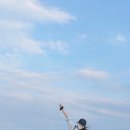 스케르잔도
