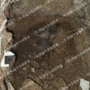 한성주유소 이미지