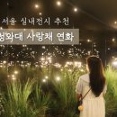 사랑채작은도서관 | 서울 가볼만한 곳 실내전시 추천 청와대 사랑채 연화 후기