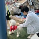 그린종합나무병원 데일리벳