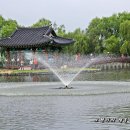 사랑의연못 이미지