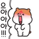 대가소곱창
